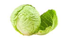 热门商品精选 - 米兰体育